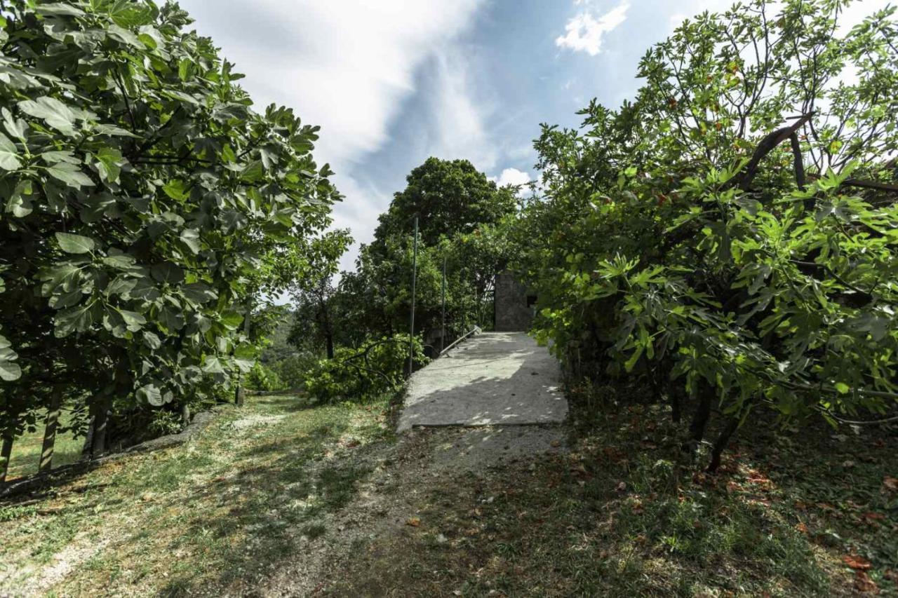 Aria Apartamento Cetinje Exterior foto